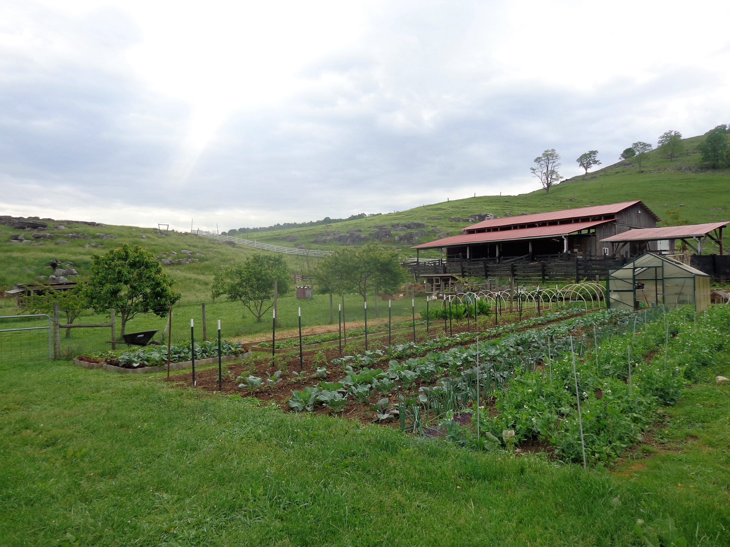 Our Services Goshen Homestead