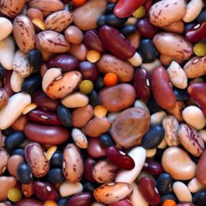 Dry Beans and Legumes